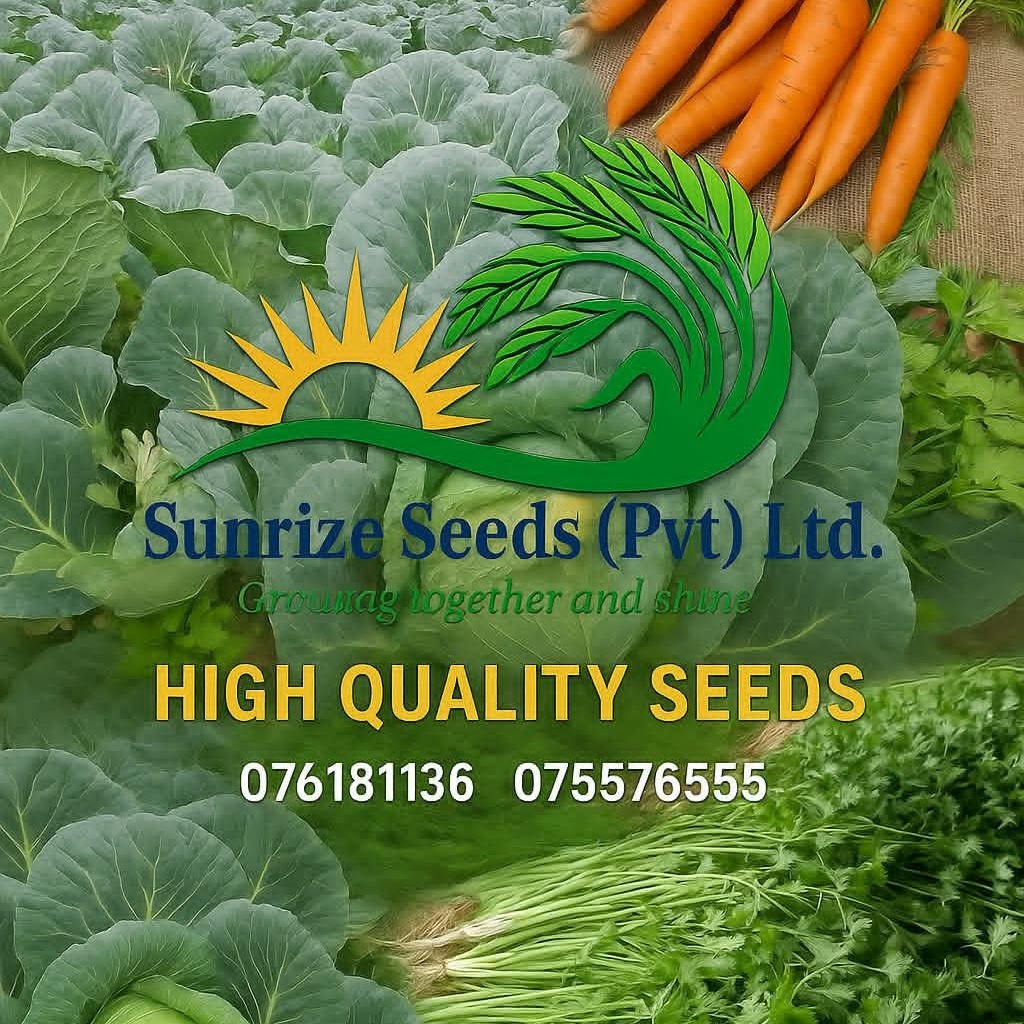 SUNRIZE SEEDS (PVT) LTD